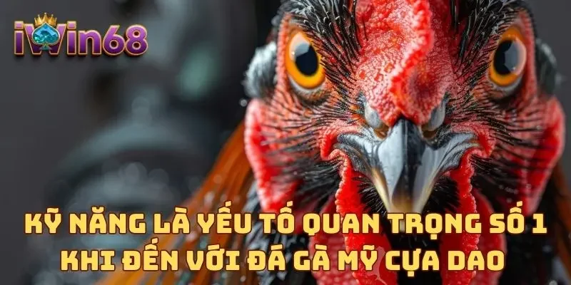 Kỹ năng là yếu tố quan trọng số 1 khi đến với đá gà Mỹ cựa dao 