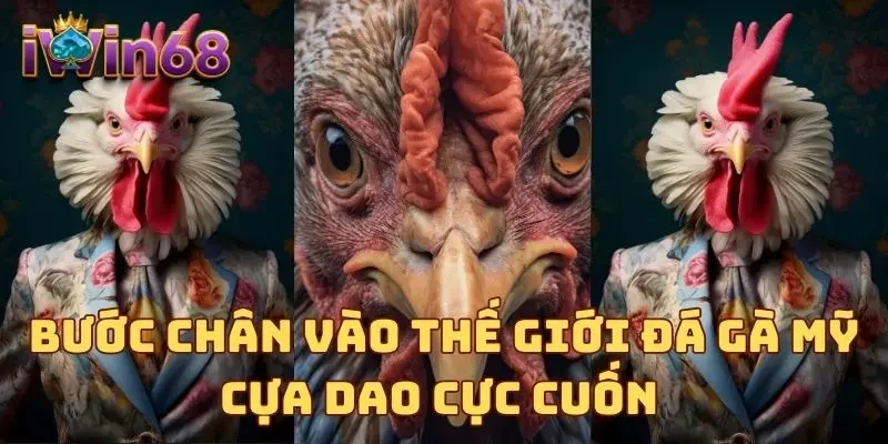 Bước chân vào thế giới đá gà Mỹ cựa dao cực cuốn 