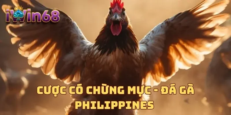 Cược có chừng mực - Đá gà Philippines 
