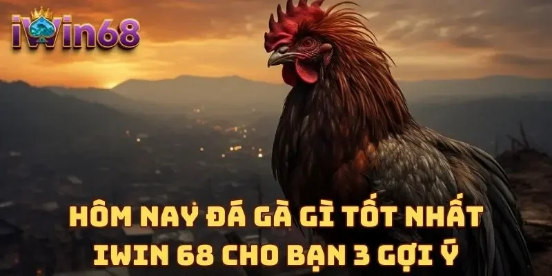 Hôm Nay Đá Gà Gì Tốt Nhất - IWIN 68 Cho Bạn 3 Gợi Ý